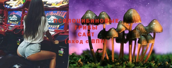 спиды Абдулино
