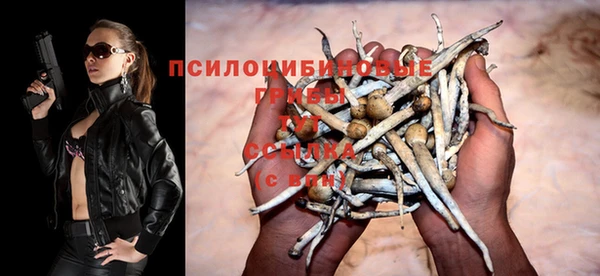 прущие крисы Абаза